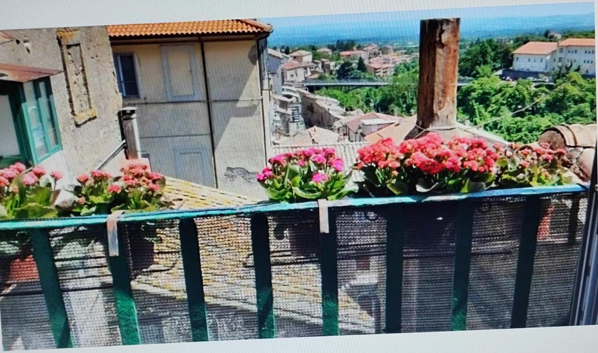 La Casa Del Sole Apartment Caprarola Luaran gambar